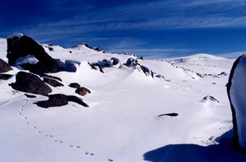 Kosciuszko – Australia